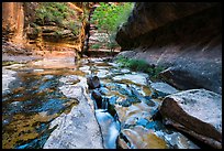 Stream funelling in tight watercourse, Left Fork. Zion National Park ( color)