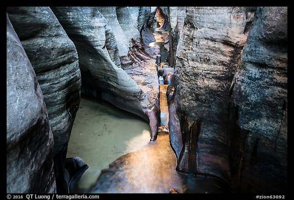 Golden reflections in tight passageway, Left Fork. Zion National Park (color)