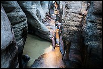 Golden reflections in tight passageway, Left Fork. Zion National Park ( color)