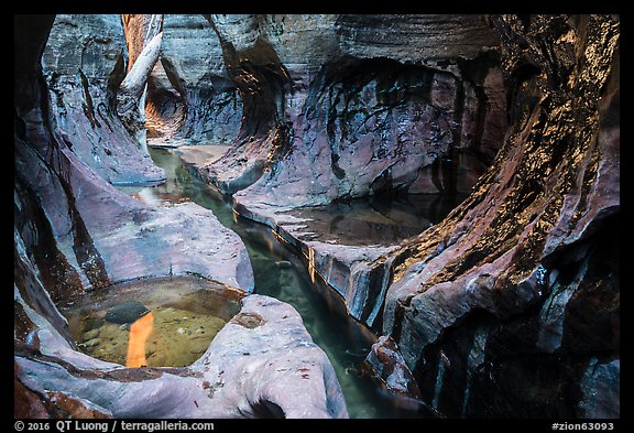 Tight channel in canyon, Left Fork. Zion National Park (color)