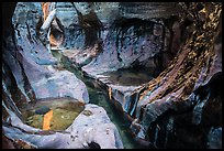 Tight channel in canyon, Left Fork. Zion National Park ( color)