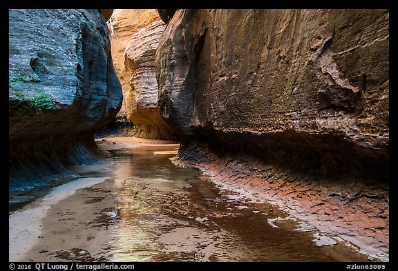 Left Fork flows in Upper Subway. Zion National Park (color)