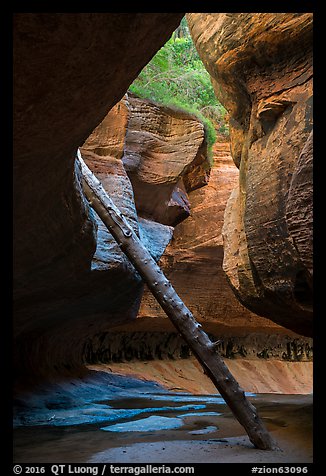 Log propped against canyon walls, Upper Subway. Zion National Park (color)
