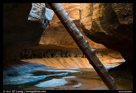 Log called North Pole and canyon chamber, Upper Subway. Zion National Park (color)