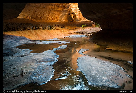 Upper Subway (Left Fork). Zion National Park (color)