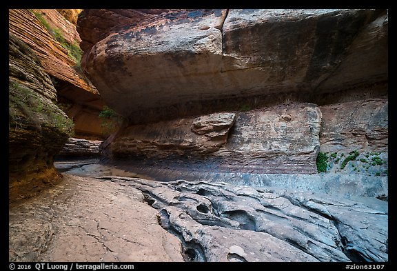 Upper Subway. Zion National Park (color)