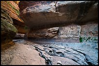 Upper Subway. Zion National Park ( color)