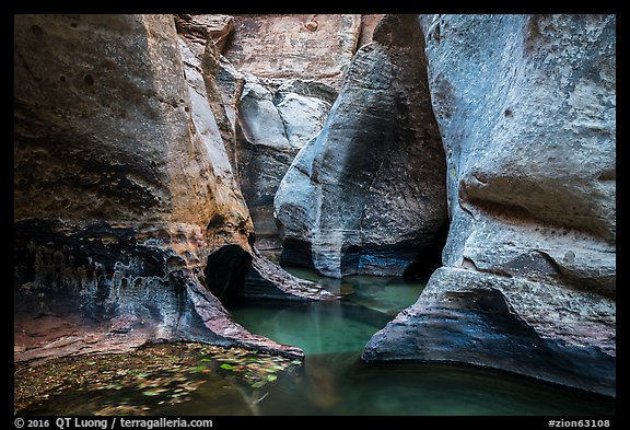 Pools and sculptured walls, Subway. Zion National Park (color)