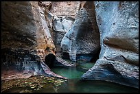 Pools and sculptured walls, Subway. Zion National Park ( color)