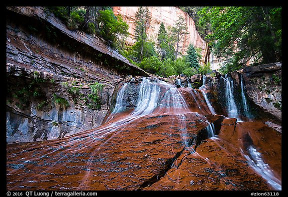 Waterfall over red travertine in the spring. Zion National Park (color)