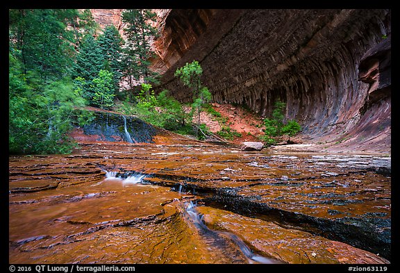 Red travertine terraces and alcove in the spring. Zion National Park (color)