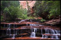 Archangel Falls in the spring. Zion National Park ( color)