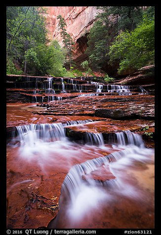 Left Fork flowing over travertine terraces in the spring. Zion National Park (color)