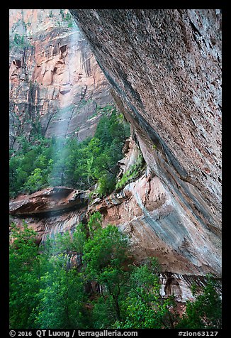 Water trickle and alcove above Emerald Pool in the spring. Zion National Park (color)