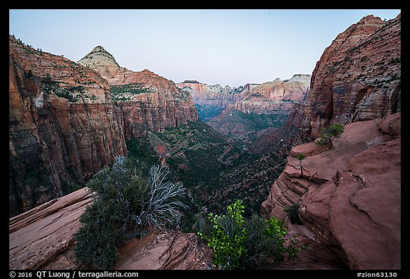Canyon Overlook, dawn. Zion National Park (color)