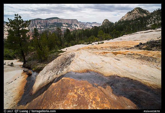 Stream flowing over slickrock, Russell Gulch. Zion National Park (color)