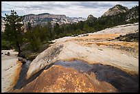 Stream flowing over slickrock, Russell Gulch. Zion National Park ( color)