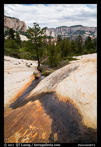 Russell Gulch stream. Zion National Park (color)