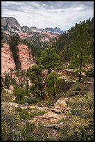 Russell Gulch. Zion National Park ( color)