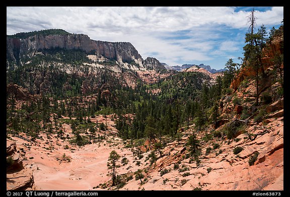 White Cliffs, Russell Gulch. Zion National Park (color)