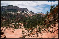 White Cliffs, Russell Gulch. Zion National Park ( color)