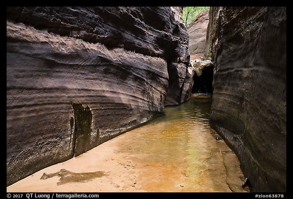 Narrow passageway, Upper Left Fork. Zion National Park (color)