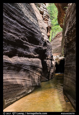 Narrow corridor, Upper Left Fork. Zion National Park (color)