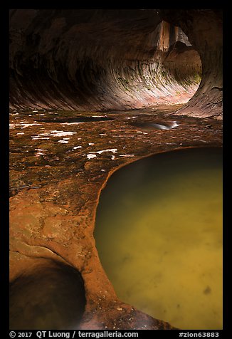 Pool and tunnel-like opening, the Subway. Zion National Park (color)