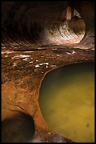 Pool and tunnel-like opening, the Subway. Zion National Park ( color)