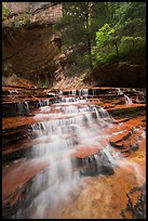 Cascades gushing over colorful terraces. Zion National Park ( color)