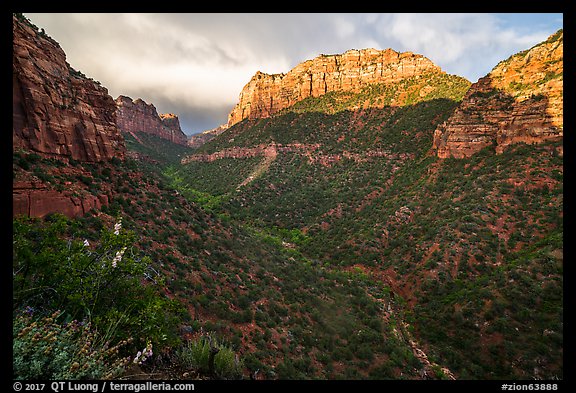 South Guardian Angel towering above Lower Left Fork. Zion National Park (color)