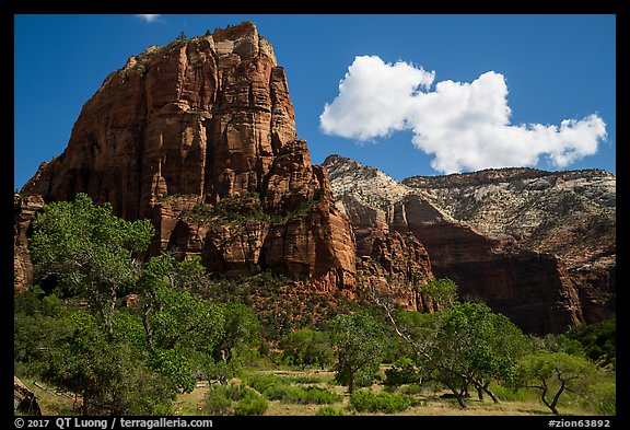 Angels Landing from Angels Landing Trail. Zion National Park (color)