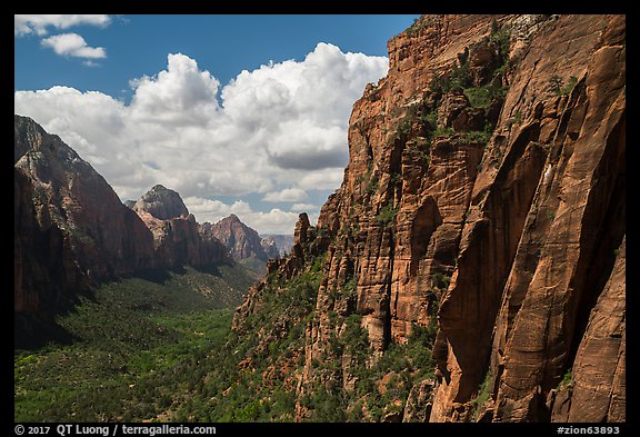 Zion Canyon from Angels Landing trail. Zion National Park, Utah, USA.
