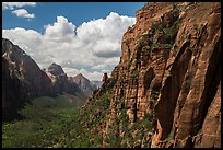 Zion Canyon from Angels Landing trail. Zion National Park ( color)