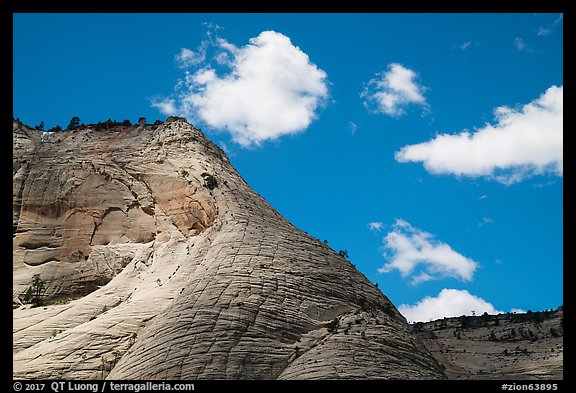 White cliffs, Zion Canyon rim. Zion National Park (color)