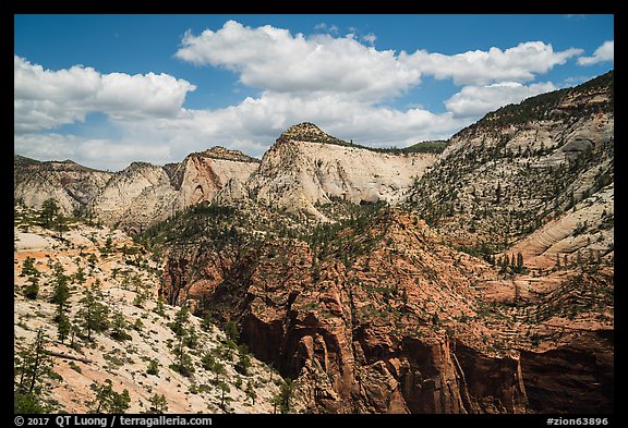 White cliffs on West Rim. Zion National Park (color)