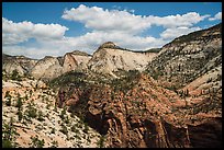 White cliffs on West Rim. Zion National Park ( color)