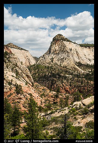 View from West Rim Trail. Zion National Park (color)