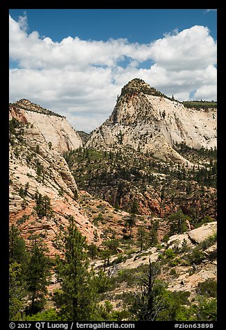 View from West Rim Trail. Zion National Park, Utah, USA.