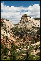 View from West Rim Trail. Zion National Park ( color)