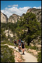 Backpackers on West Rim Trail. Zion National Park ( color)