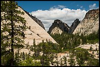 White domes and shadows, West Rim. Zion National Park ( color)