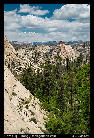 Hikers descend West Rim Trail. Zion National Park (color)