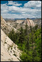 Hikers descend West Rim Trail. Zion National Park ( color)