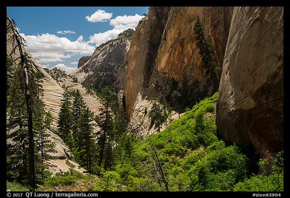 Head of Behunin Canyon. Zion National Park (color)