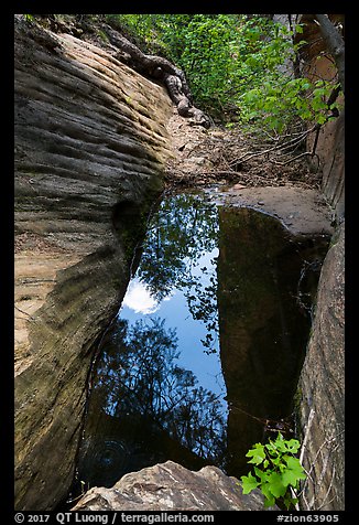 Pool, Upper Behunin Canyon. Zion National Park (color)