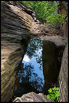 Pool, Upper Behunin Canyon. Zion National Park ( color)