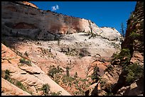 Walls of Mount Majestic from Behunin Canyon. Zion National Park ( color)