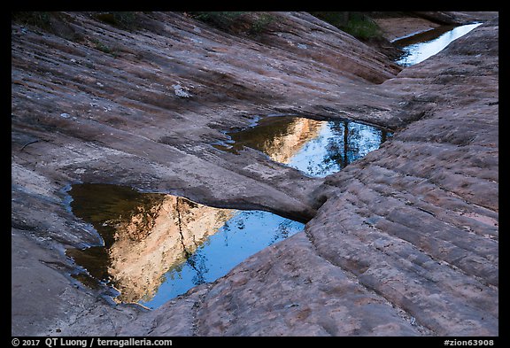 Pothole reflections, Behunin Canyon. Zion National Park (color)