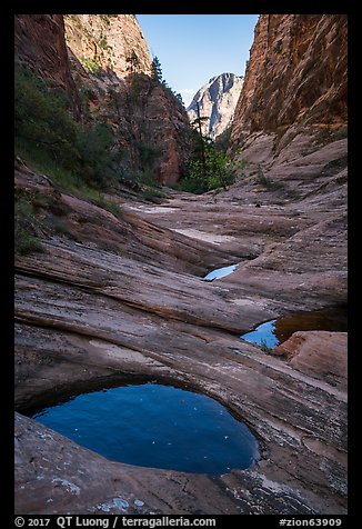 Water-filled potholes, Behunin Canyon. Zion National Park (color)